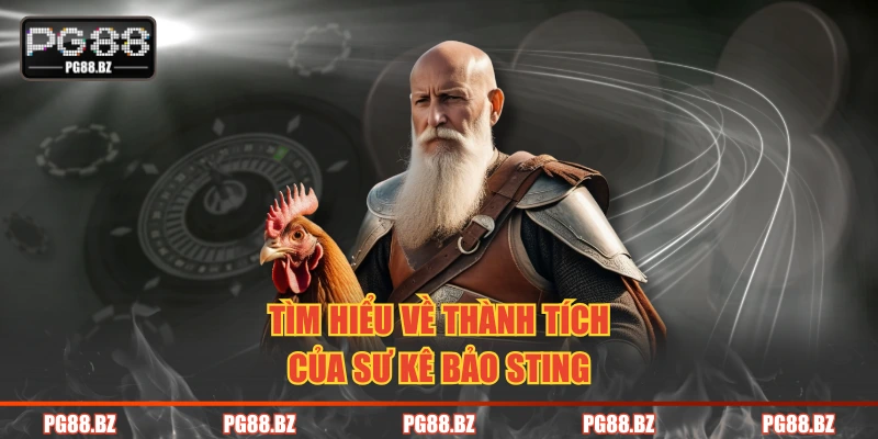 Tìm hiểu về thành tích của sư kê Bảo Sting